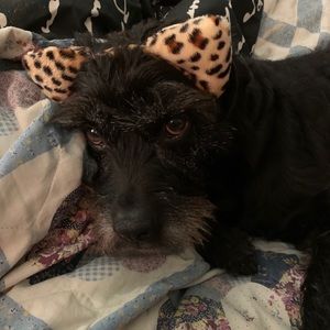 Meet your Posher, Elisa